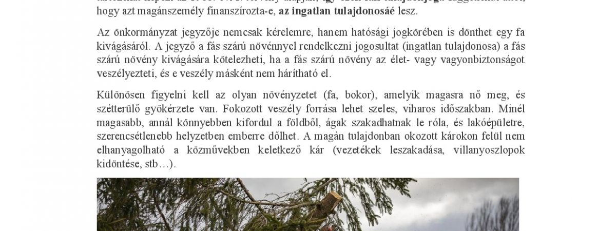 Tájékoztató veszélyes fákkal kapcsolatban